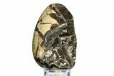 Septarian Dragon Egg Geode - Barite Crystals #308816-2